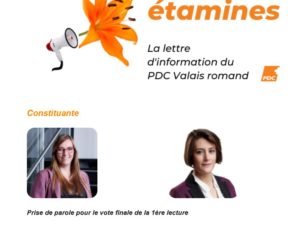 Constituante : le projet de nouvelle constitution accepté en 1ère lecture